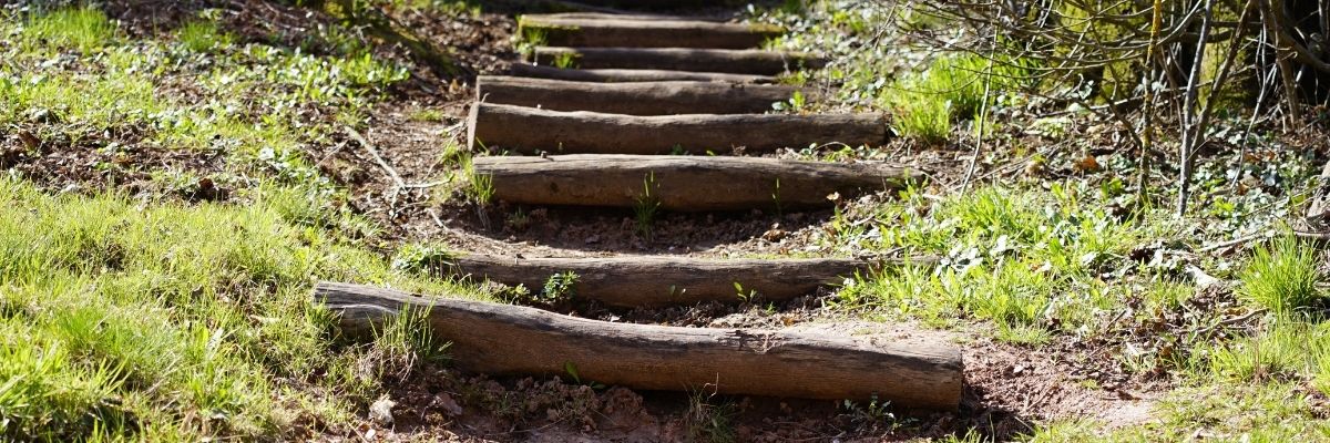 Artemis’in Sonraki Adımları