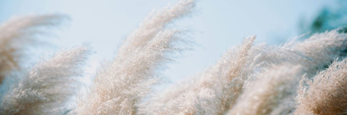 Neptün Rüzgârlarının Sırrı