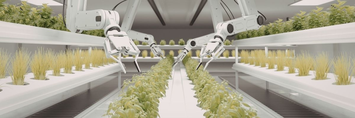 Uzayda Tarım Nasıl Olur?